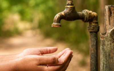 Tapping into efficiency: Private sector participation in water